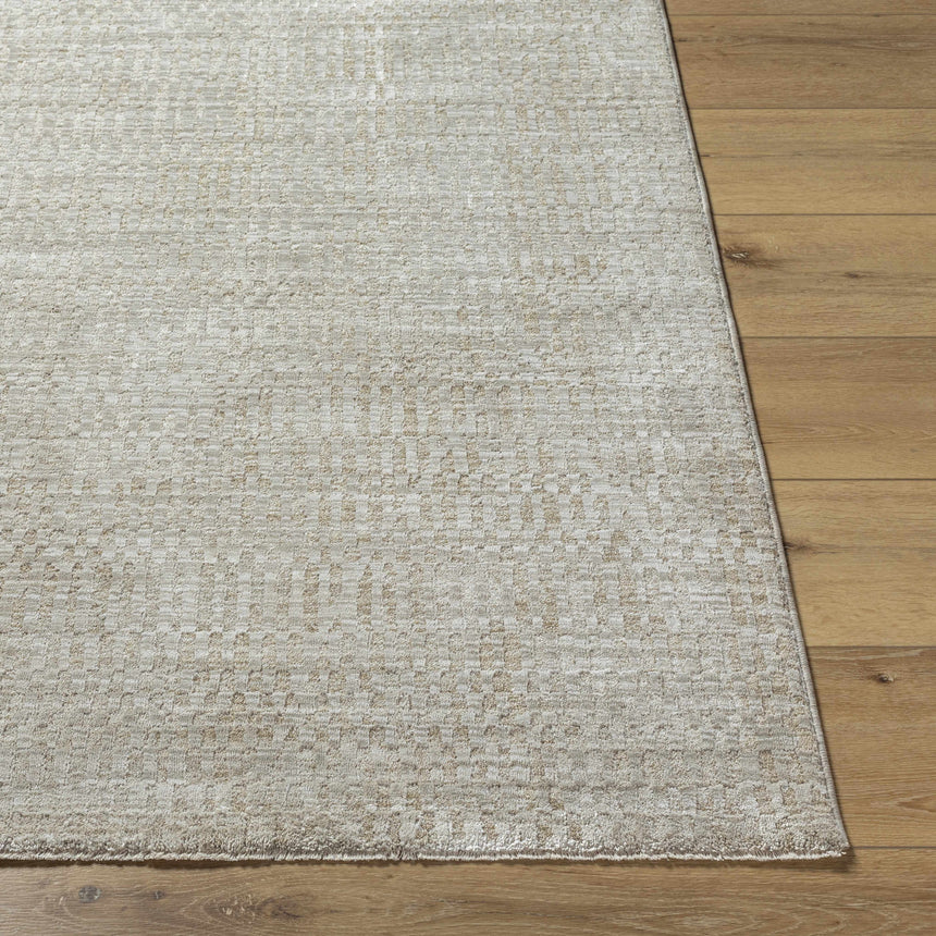 Pabla Light Gray Area Rug