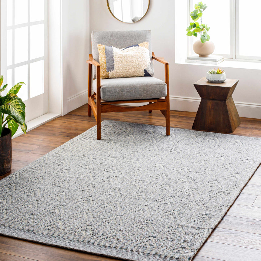 Peri Area Rug - Clearance