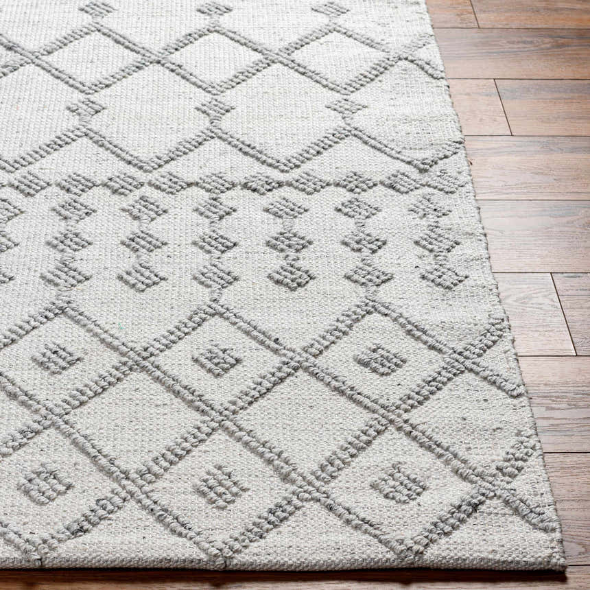 Close-up of the Rick Area Rug, a hand-woven rug with a geometric diamond pattern in arctic stone and gray tones. Front