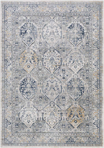 Detailed Revesby Area Rug: a traditional, rectangular rug in black, charcoal, blue, ivory, gray, and tan tones. Floral and geometric motifs. Design-Rectangle-5373