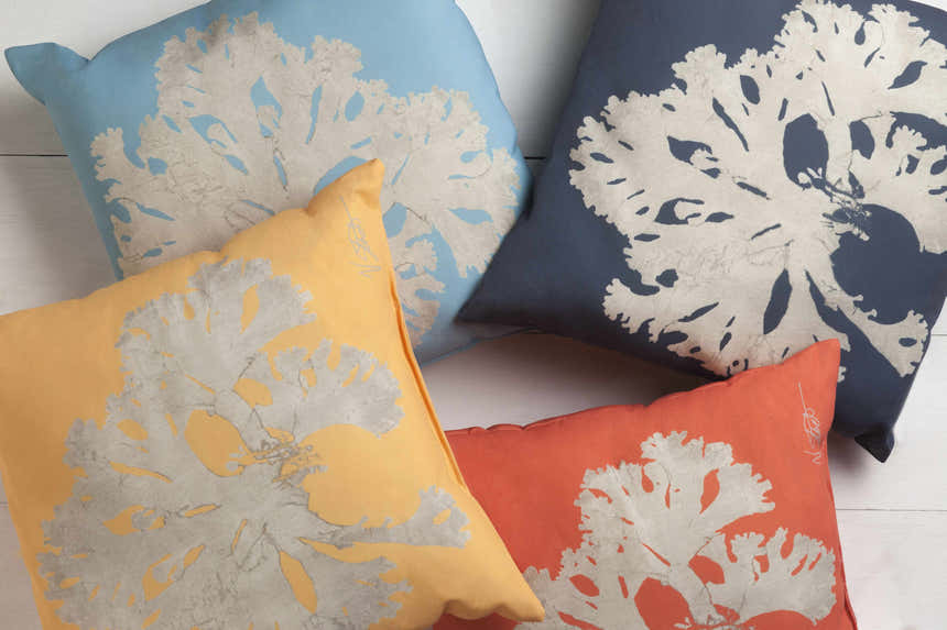 Tarong Outdoor Throw Pillow