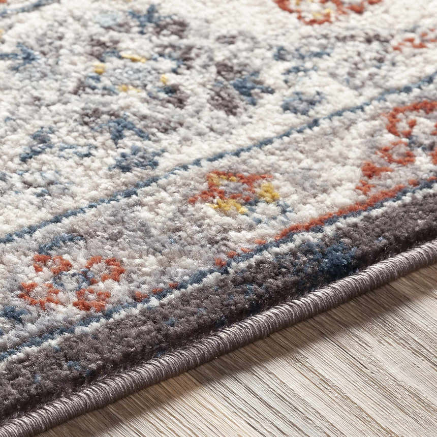 Close up of the Haymond Brown Medallion Area Rug showing brick red, blue, and cream colors. Texture