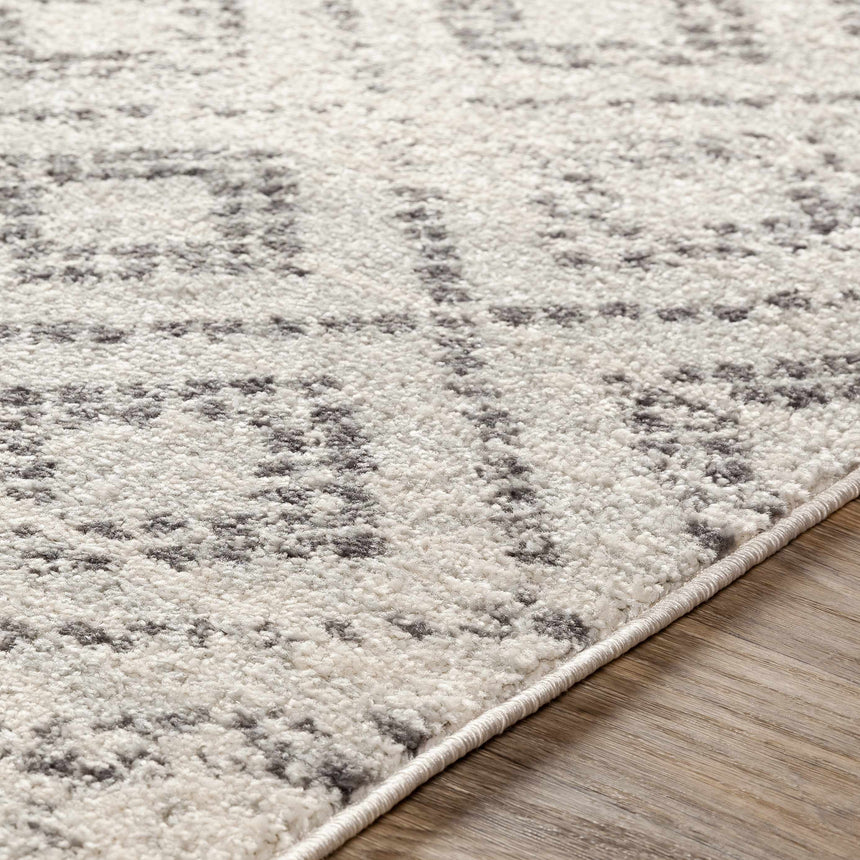 Romeoville Area Rug - Clearance
