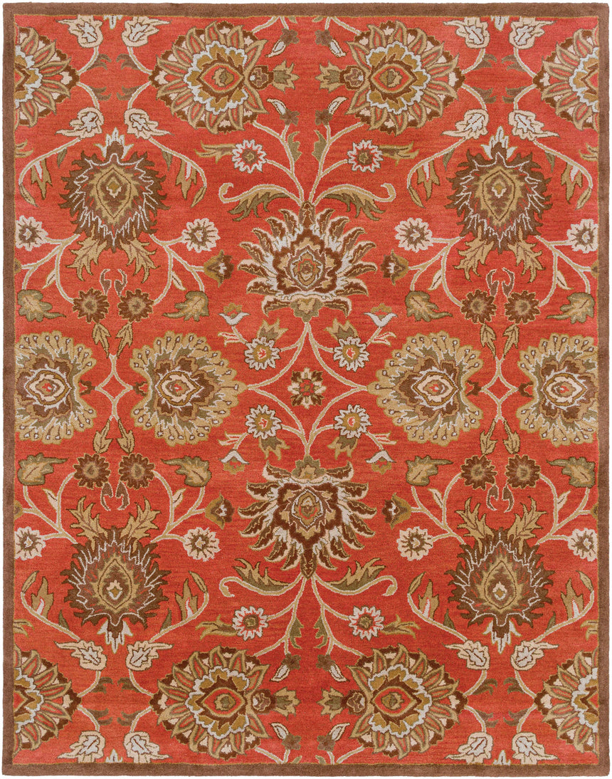 Conesus Hand Tufted Rust 1062 Area Rug - Clearance