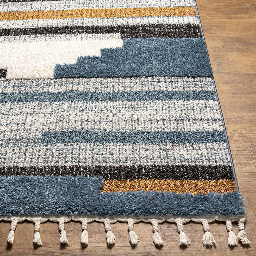 Close-up of the Rosslare Area Rug: a shag rug with blue, white, black, and mustard stripes and decorative tassels. Front