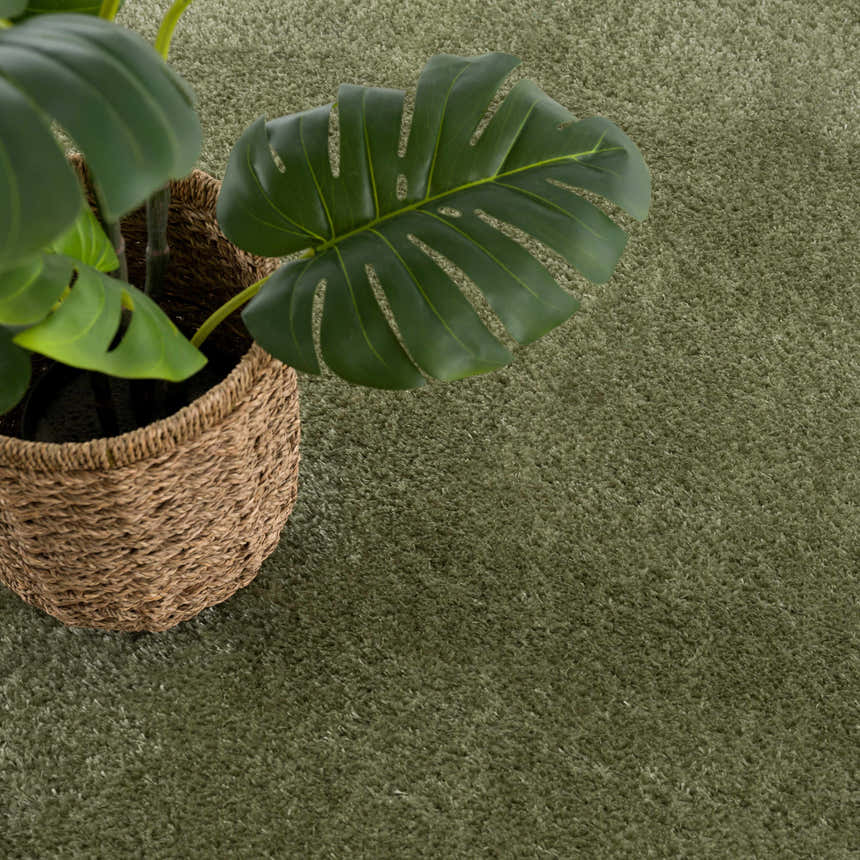 Close up of the Heavenly Solid Green Plush Rug with a potted monstera plant. Soft texture. Styleshot