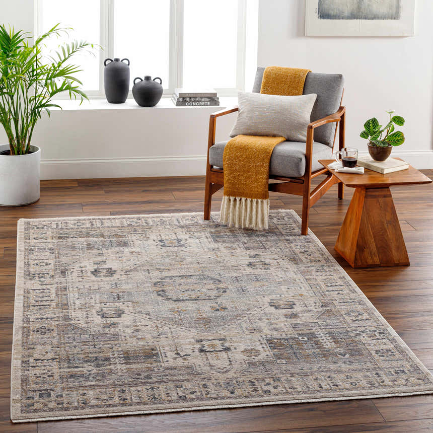 Living room scene with a traditional Iiona Area Rug in brown, gray, and taupe tones on hardwood floors. Modern farmhouse style. Roomscene-Rectangle
