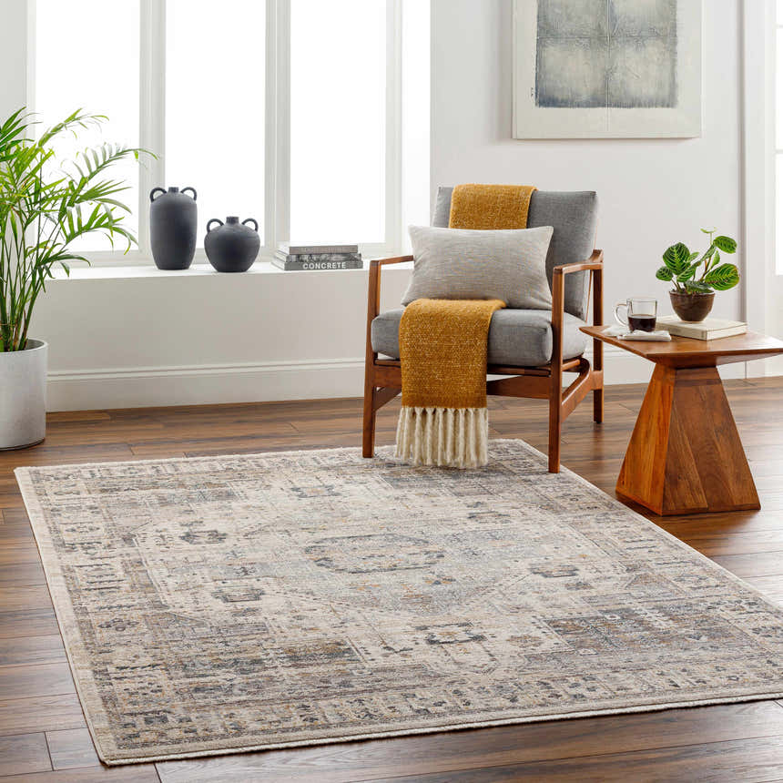 Living room scene with the Iiona Area Rug, featuring a traditional design in brown, gray, and taupe tones on hardwood floors. Roomscene-Rectangle