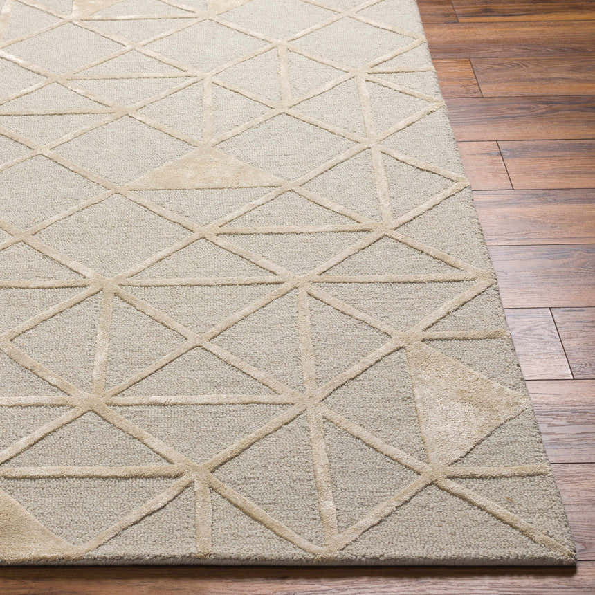 Close-up of the Botiu Blue Geometric Hand Tufted Wool Area Rug showing its light gray and pale blue geometric pattern. Front