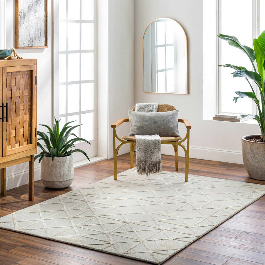 Bright living room with wood floors and Botiu Blue Geometric rug. Cabinet, chair, mirror, and plants complete the scene. Roomscene-Rectangle