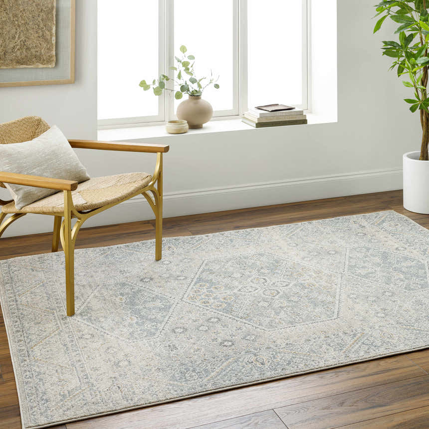 Living room scene with Nydia Blue Medallion Area Rug, woven chair, wood floors, and natural light. Roomscene-Rectangle