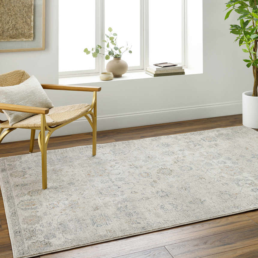 Living room scene with Pavan Beige Area Rug, woven chair, wood floors, and bright natural light. Roomscene-Rectangle