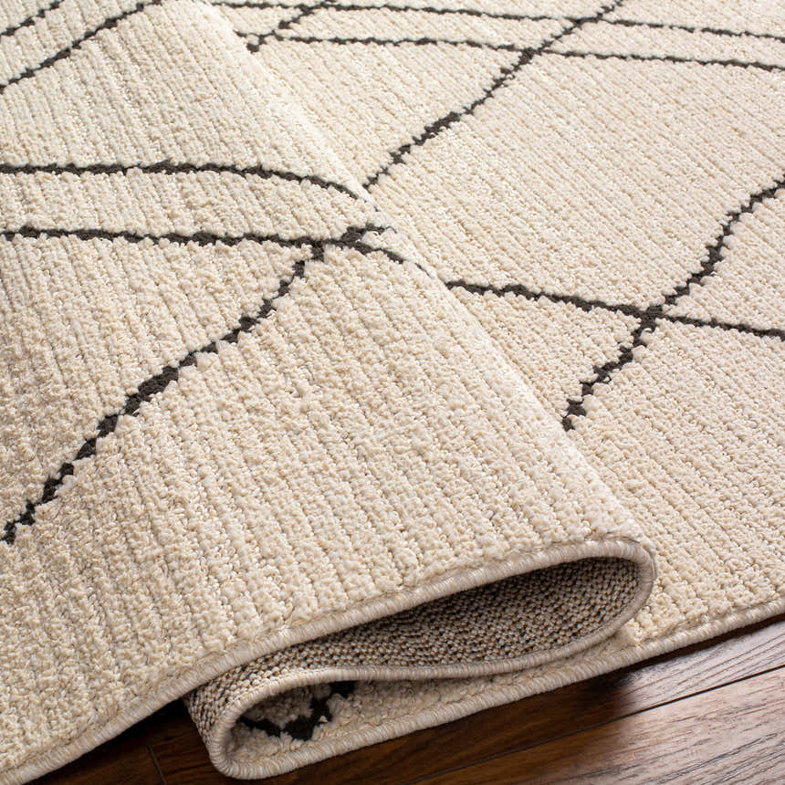 Close-up of the Ausca Area Rug showing its bone color and dark brown geometric pattern, with a textured, machine-woven construction. Fold