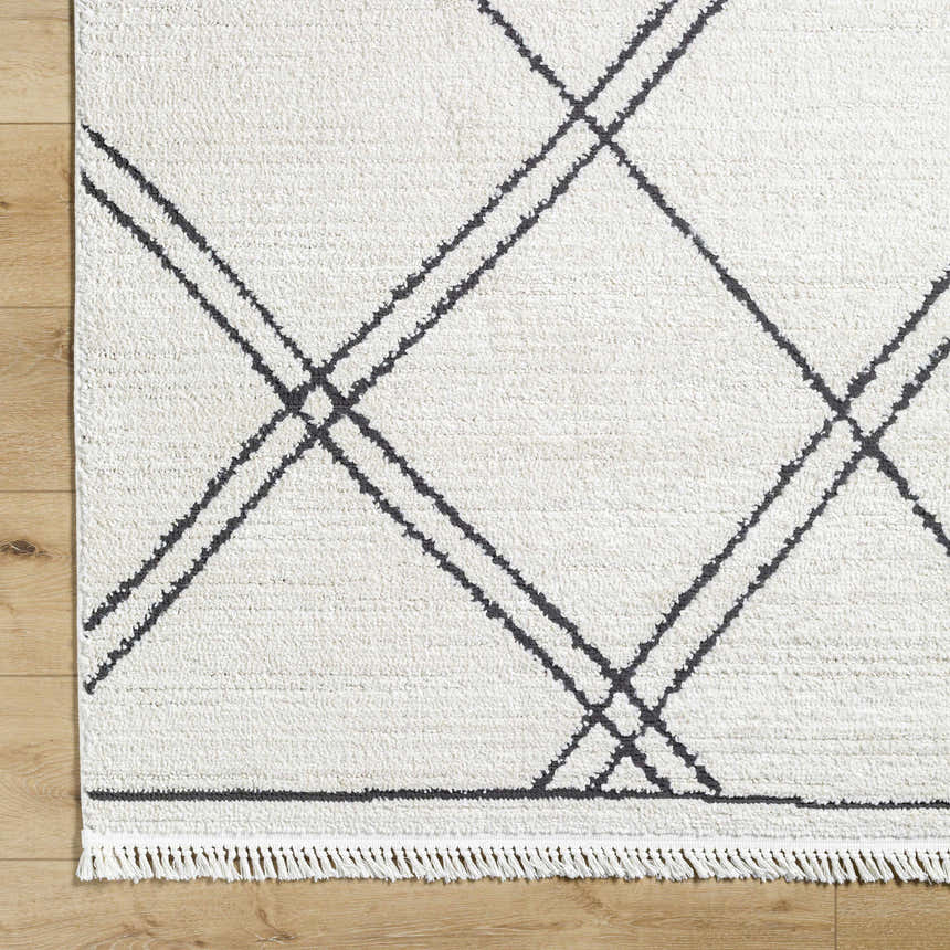 Close-up of Ausca Area Rug, bone color with dark brown geometric diamond pattern and fringe detail. Corner