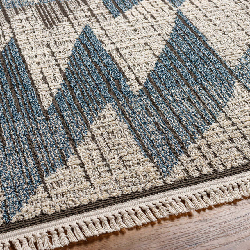 Close-up of the Zaim Area Rug. Bohemian style rug with blue and white geometric pattern and fringe detail. Texture