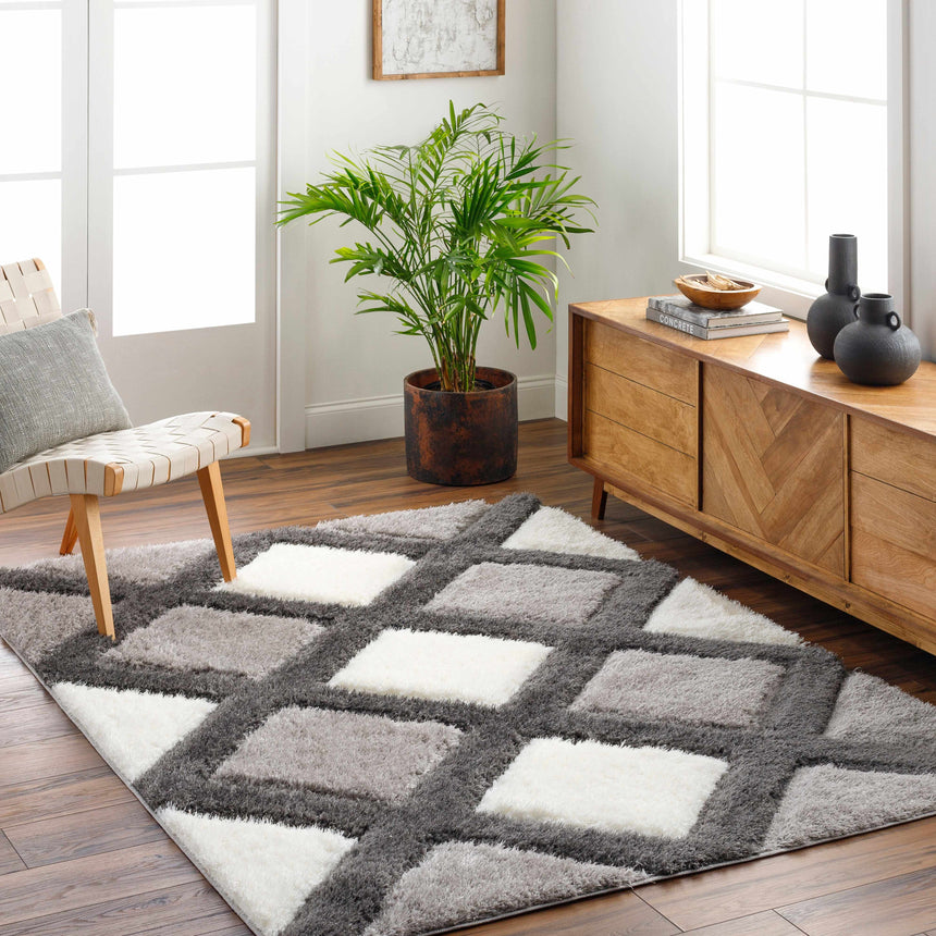 Amias Gray Area Rug - Clearance