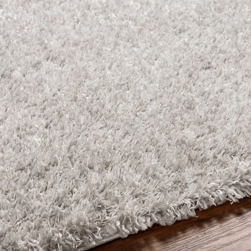 Bluma Light Gray Area Rug - Clearance
