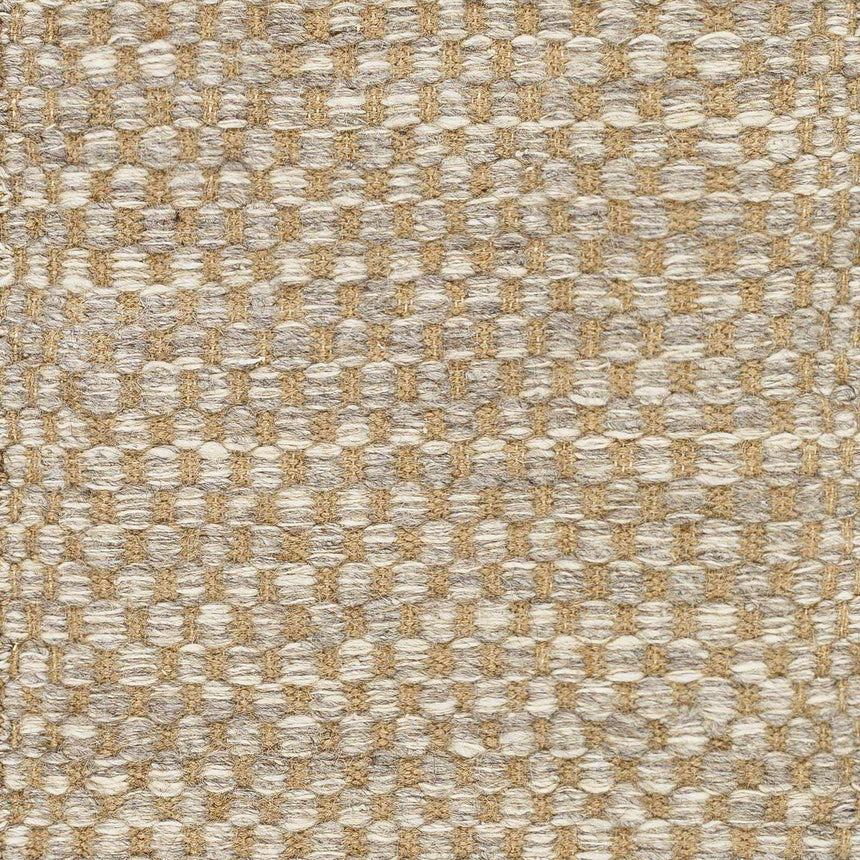 Ayers Beige & Gray Area Rug - Clearance