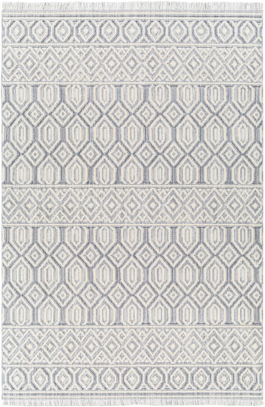 Ankan Textured Saxony Rug with Fringes - Clearance