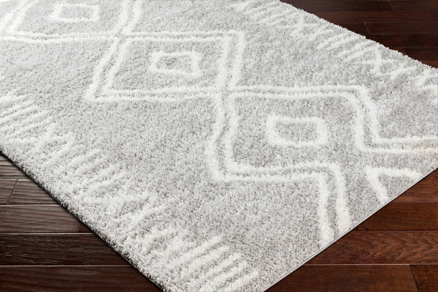 Asael Gray Area Rug - Clearance
