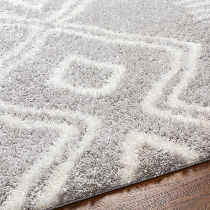 Asael Gray Area Rug - Clearance