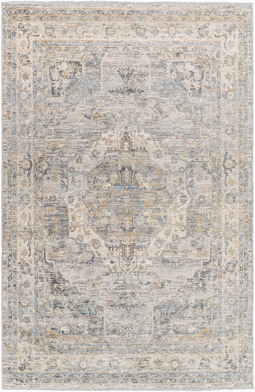 Close-up of the Addax Area Rug, a machine-woven rug in neutral gray, brown, and blue with a traditional, distressed pattern. Design-Rectangle-579