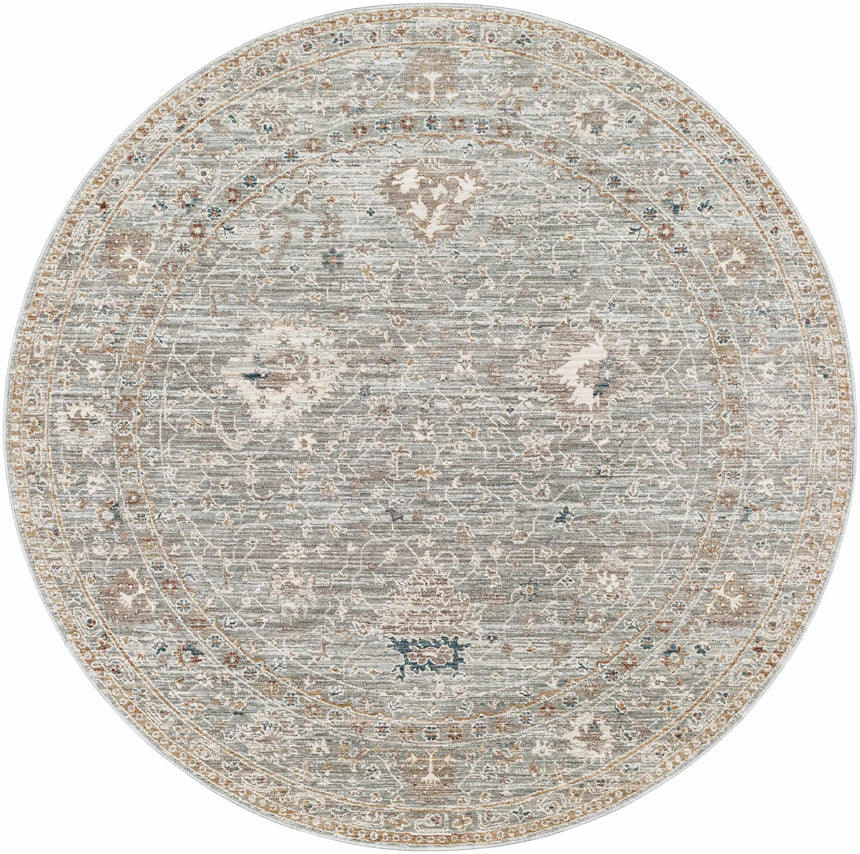 Scole Area Rug - Clearance