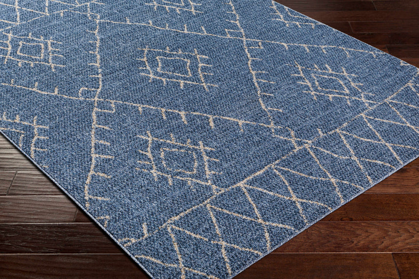 Razo Area Rug - Clearance
