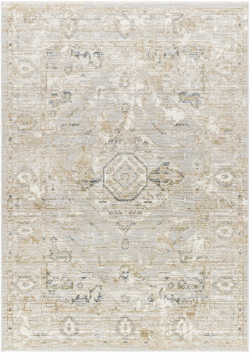 Close-up of Gioia Area Rug. Beige, bone, and blue traditional rug with a distressed, vintage-inspired pattern. Design-Rectangle-537