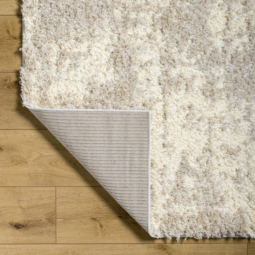 Edzia Beige Plush Area Rug - Clearance