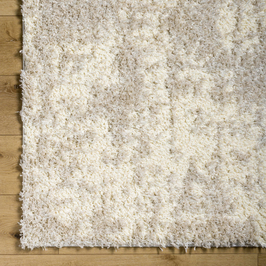 Edzia Beige Plush Area Rug - Clearance