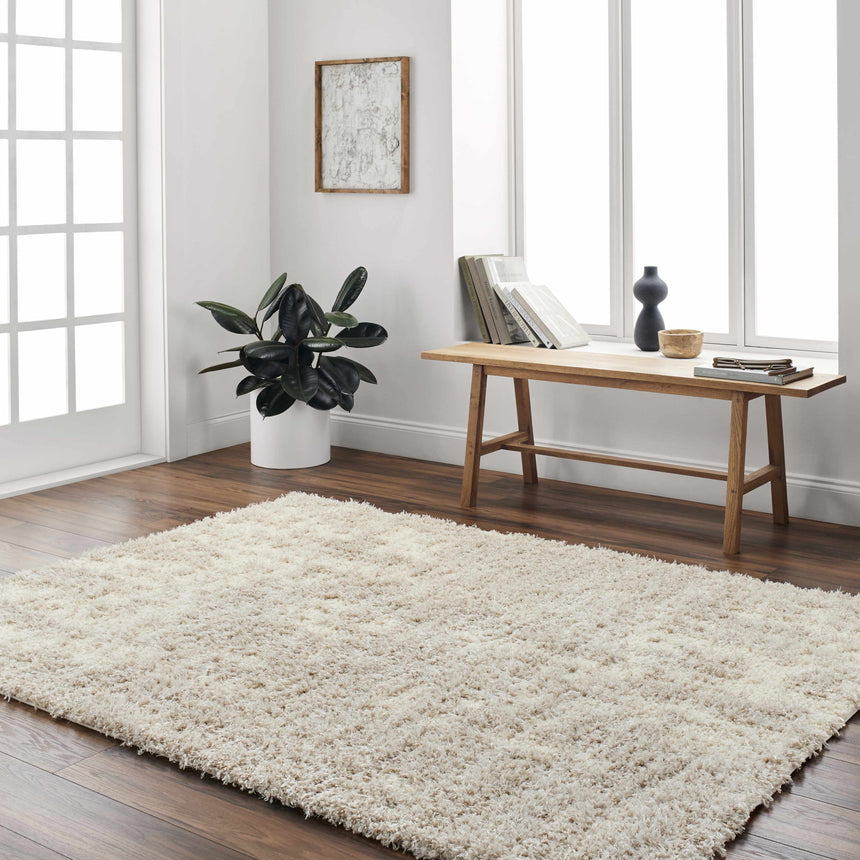 Edzia Beige Plush Area Rug - Clearance