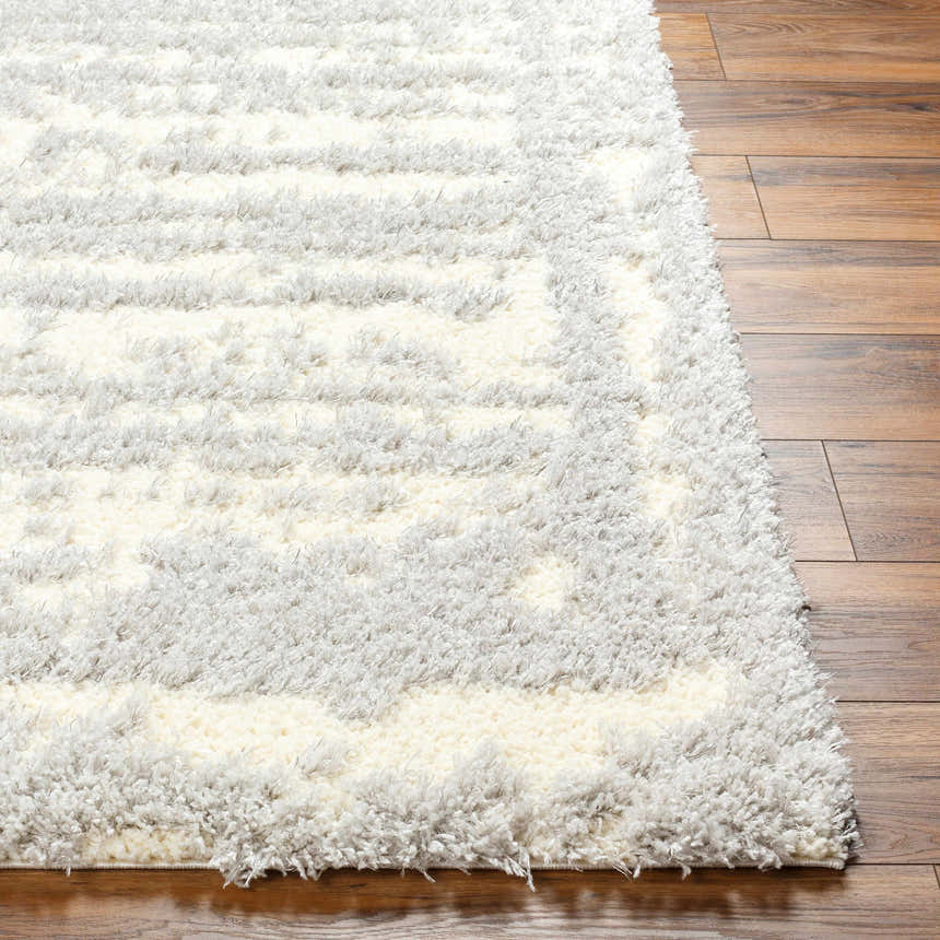 Close-up of the plush Gidja Gray Area Rug on wood flooring. Features a soft, shaggy texture and subtle beige and gray pattern. Front