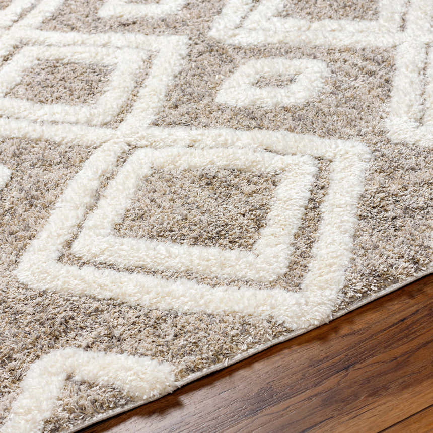 Close up of the Nima Area Rug showing its bone geometric pattern and shag texture on wood floor. Texture