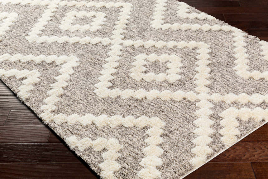 Close-up of the Rian Beige Area Rug featuring a geometric bone and gray shag design on dark wood floors. Corner