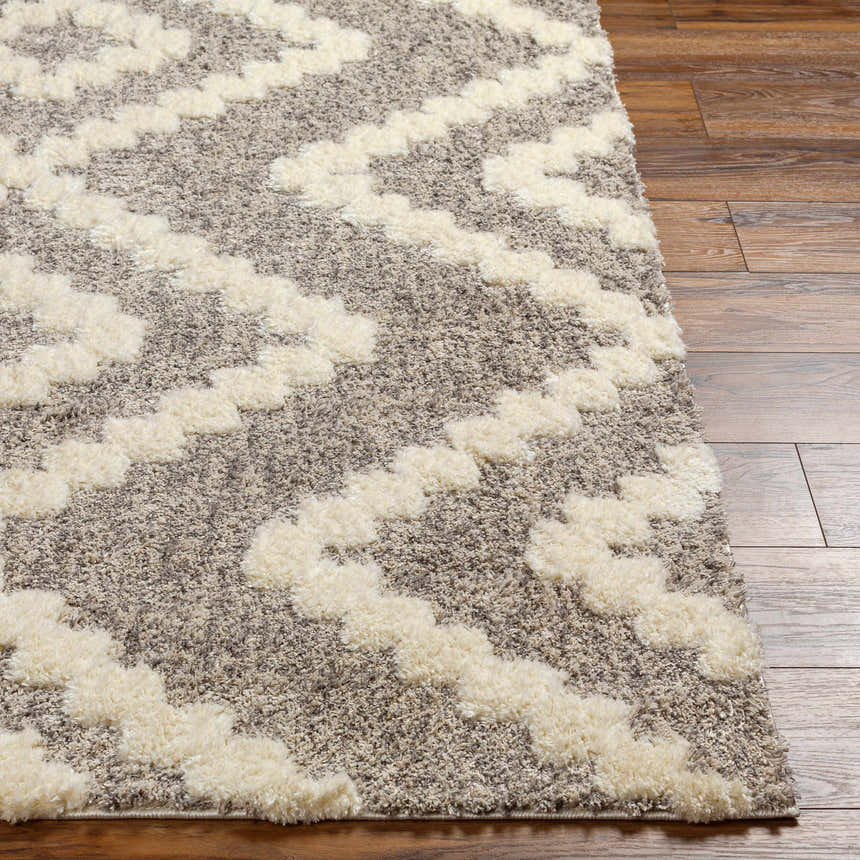 Close up of the Rian Beige Area Rug showing its shag texture and bone and gray geometric pattern. Front