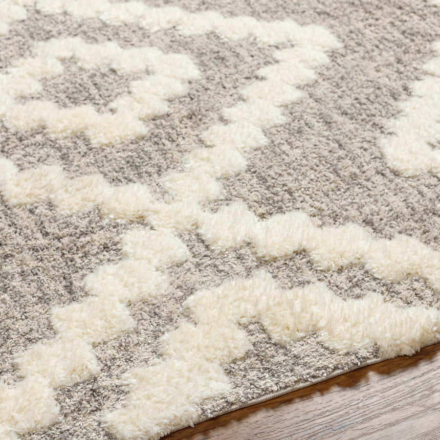 Close up of the Rian Beige Area Rug showing bone and gray shag texture. Texture