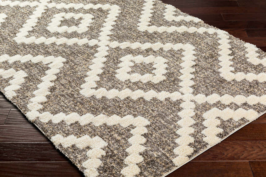 Close-up of Rian Brown Area Rug showing its bone geometric pattern, shag texture, and multi brown tones on dark wood floor. Corner