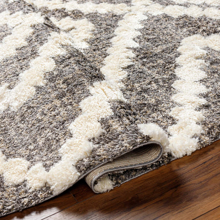 Close-up of the Rian Brown Area Rug showing its bone and gray geometric shag design and soft, plush texture. Fold