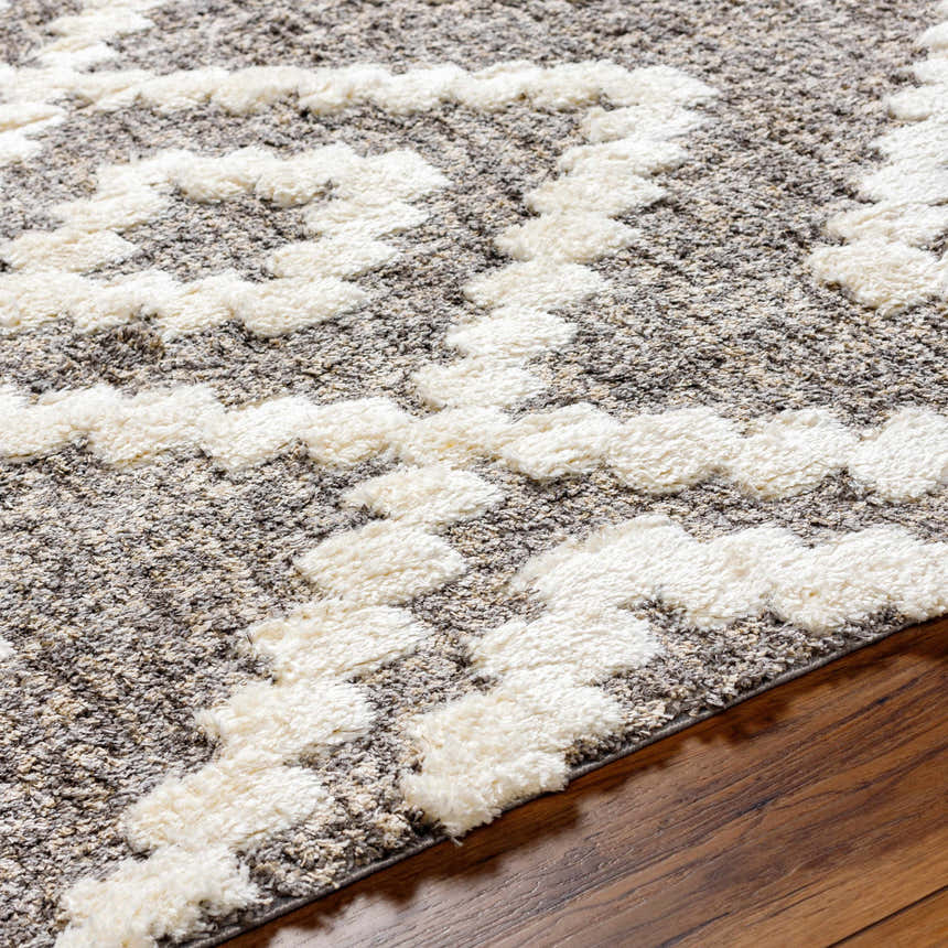 Close up of the Rian Brown Area Rug showing bone geometric pattern and shag texture. Texture