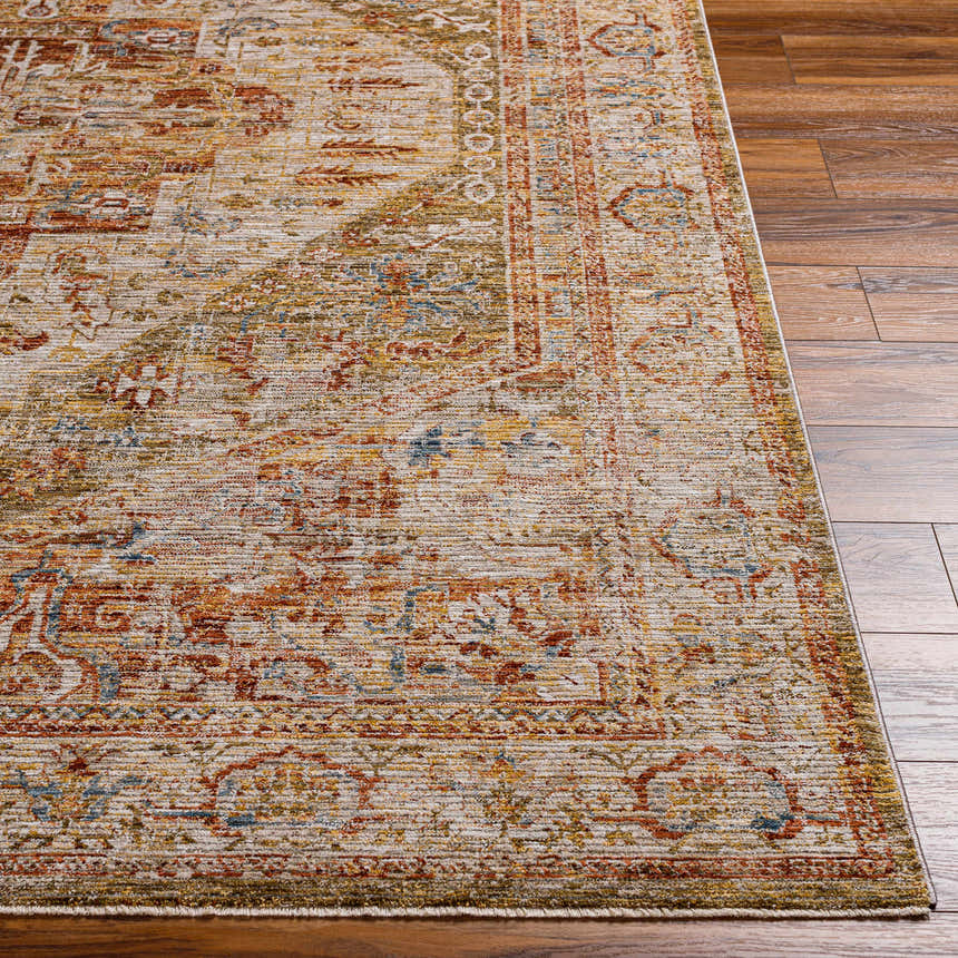 Close-up of the Alois Tan Rich Textured Traditional Rug showing its bone, clay, and dark gray colors and farmhouse style. Front