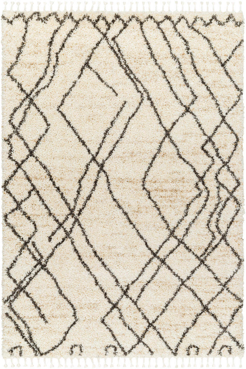Close-up of the Hersz Cream Area Rug. Shag rug with brown geometric diamond pattern and tassels. Farmhouse style. Design-Rectangle-537
