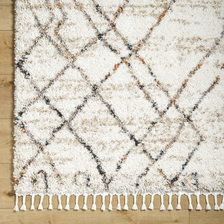 Close-up of the Hersz Cream Area Rug. Shag rug with beige, brown, and gray diamond pattern and decorative tassels. Corner