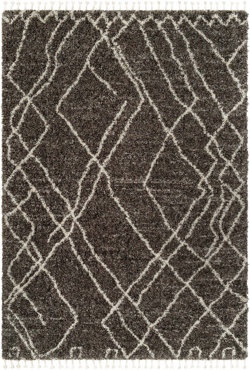 Close-up of the Hersz Gray Area Rug. Shag rug with a geometric diamond pattern and tassel fringe. Design-Rectangle-537