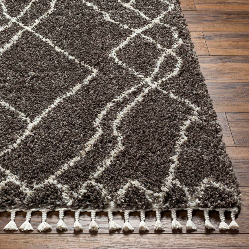Close-up of Hersz Gray Area Rug showing its shag texture, geometric pattern, and tassel fringe detail on wood floor. Front