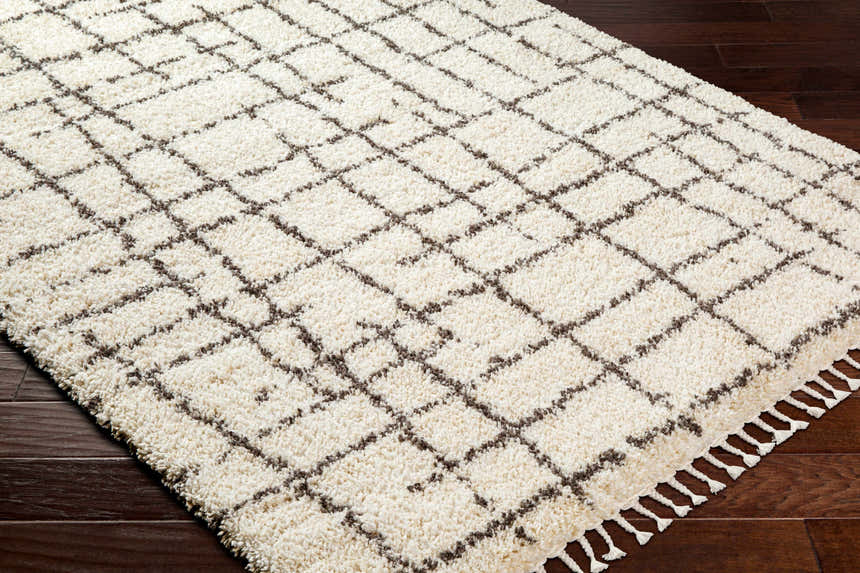 Close-up of the Hodor Area Rug: a shag rug with a beige and brown geometric grid pattern and white tassels on dark wood floors. Corner