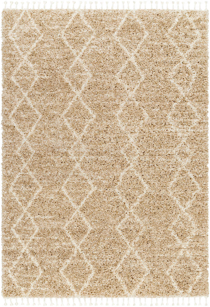 Close-up of the Ishan Area Rug. Camel and beige shag rug with a diamond pattern and tassels. Farmhouse style. Design-Rectangle-537