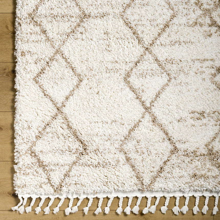 Ishan Cream Area Rug - Clearance