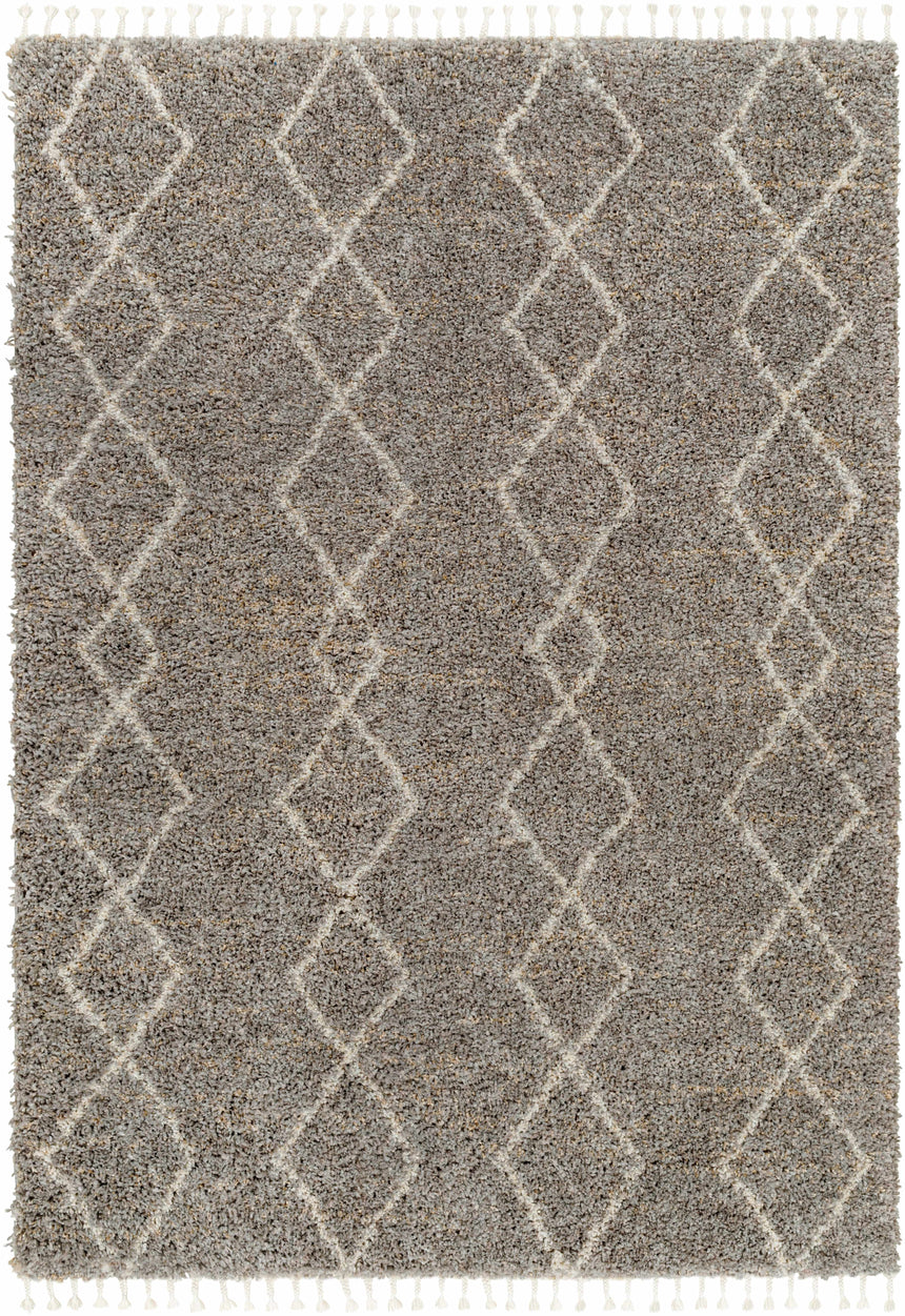Ishan Taupe Area Rug - Clearance