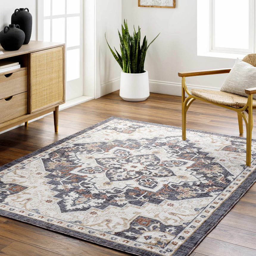 Lewa Charcoal Area Rug - Clearance